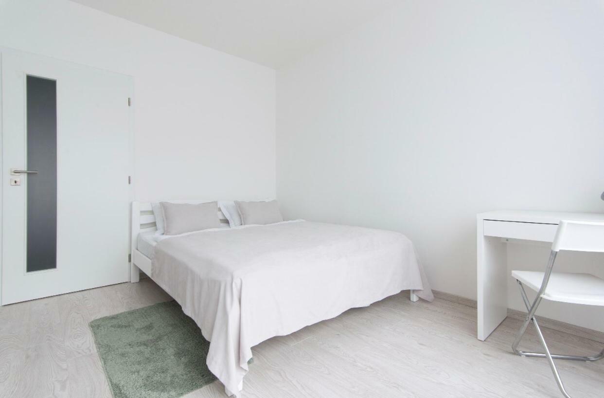 Free Parking In Garage Karolina Plazza, New Cosy Studio With All You Need Praag Buitenkant foto